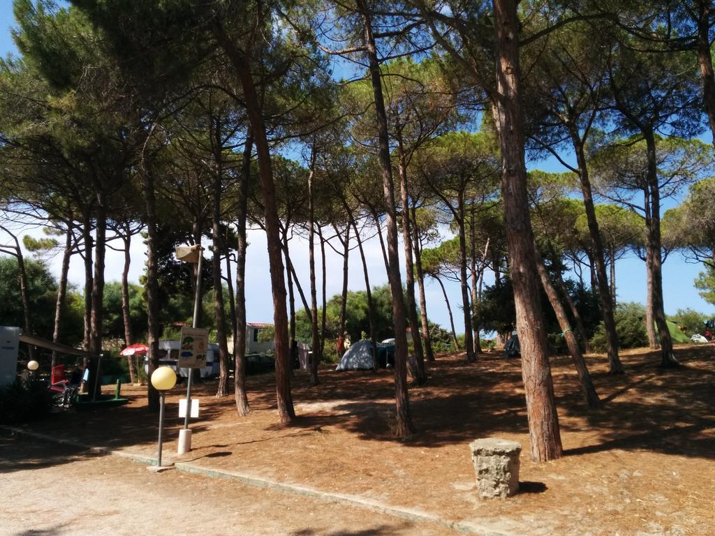 Campeggio La Mariposa Alghero Eksteriør bilde